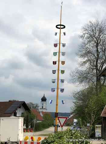 Brauchtumspflege im Aichacher Land: Maibaumaufstellung - Aichach - myheimat.de