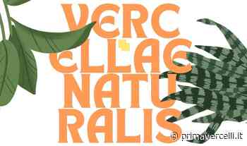 Torna il concorso Obiettivo Verde: Vercellae Naturalis - Prima Vercelli