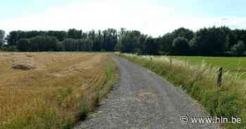 Code oranje in alle Vlaamse natuurgebieden wegens droogte: “Overtreders in Kalmthout riskeren boete van minstens 100 euro” - Het Laatste Nieuws