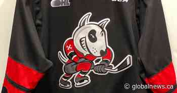 Niagara IceDogs sold to owner of Brantford hockey teams, pending OHL approval