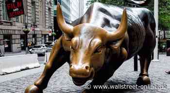 Starinvestor: Hat Michael "The Big Short" Burry hier wieder recht? Alleine gegen Apple!