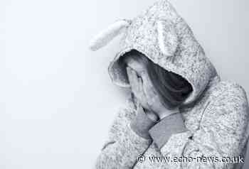 Basildon dads claim children assaulted by bullies at school | Echo - Southend Echo