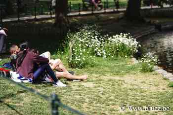 Droogterisico in Brussel: 'Onze parken worden te intensief gebruikt' - BRUZZ