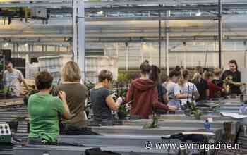 De eenzijdige kijk van Brussel op arbeidsmigratie - EWmagazine.nl