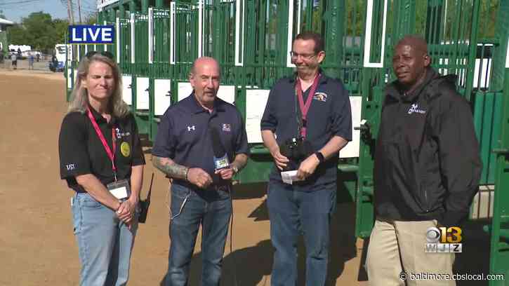 Where’s Marty? Checking Out The Sunrise Tours At Pimlico