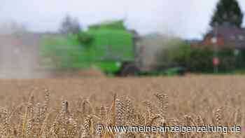 Ukraine-Krieg und Klimawandel: Weizenpreis auf neuem Allzeithoch