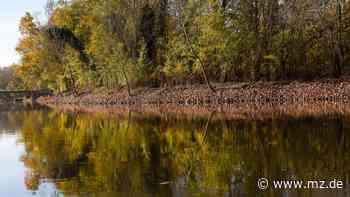 Verwaltung geht in Widerspruch - Wird am Saaleufer in Halle bald weiter geschottert? - Mitteldeutsche Zeitung