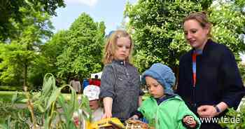 Detmolder Familientag: "Wer baut denn da?" | Lokale Nachrichten aus Detmold - Lippische Landes-Zeitung