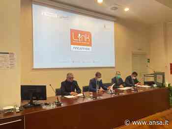 Torna il festival Link a Trieste, focus su Ucraina - Agenzia ANSA