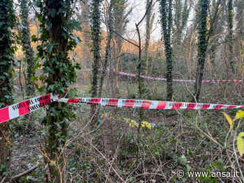 Donna morta a Trieste: trovato terriccio sotto suole scarpe - Agenzia ANSA