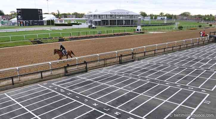 After Derby Scratch, Ethereal Road To Run In Sir Barton At Pimlico, Target Belmont Stakes