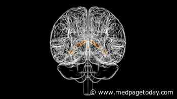 Alzheimer's, Cognitive Impairment Linked With Choroid Plexus Volume