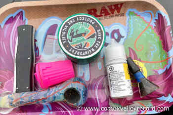 Victoria media blitz on downtown youth issues fails to deter troublemakers – Comox Valley Record - Comox Valley Record