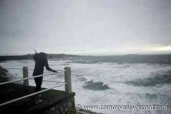 Warning issued as strong winds, heavy rainfall head for coastal B.C. - Comox Valley Record