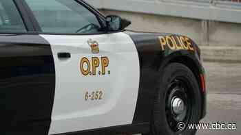 More than 100 fatal crashes in Ontario so far this year, highest count in a decade