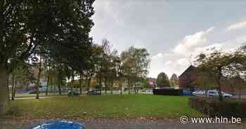 Merksem plant dit najaar 'toekomstbomen' | Merksem | hln.be - Het Laatste Nieuws