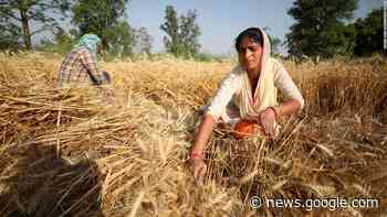 India offered to help fix the global food crisis. Here's why it backtracked - CNN