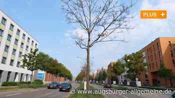 Augsburg: Mit diesen Schritten rüstet sich die Stadt für den Klimawandel | Augsburger Allgemeine - Augsburger Allgemeine