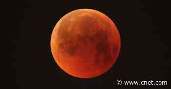 Please Don't Let Neil deGrasse Tyson Ruin Lunar Eclipses for You     - CNET