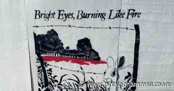 Mystery as Banksy style artwork appears overnight in Solihull - and it's causing quite the stir - Birmingham Live