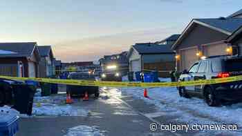 Hisham Ahmed, 24, the victim of northeast Calgary shooting: police | CTV News - CTV News Calgary
