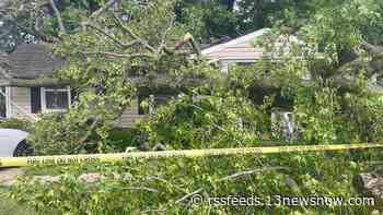 Storm damage reported in Hampton Roads