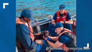 Dog who went overboard in the Outer Banks rescued by US Coast Guard