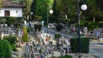 Vigevano, l'antico cimitero degli animali rischia lo sfratto: "Salviamo 500 tombe di cani e gatti" - La Repubblica