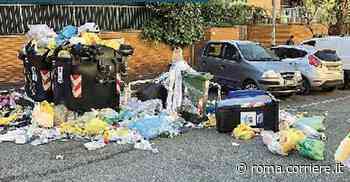 Rifiuti a Roma, pulizia-lampo in città dopo la denuncia del Corriere: inviateci foto e video per combattere... - Corriere Roma