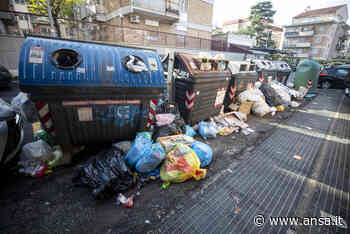 Rifiuti: Edo Ronchi, a Roma serve un inceneritore - Agenzia ANSA