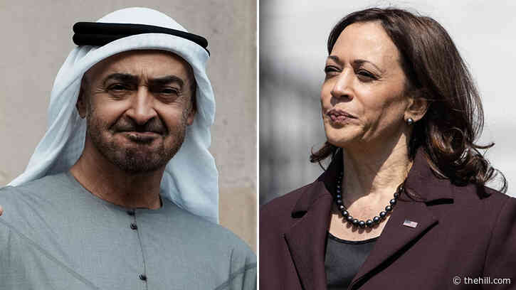 US seeks to reset relationship with oil-rich UAE