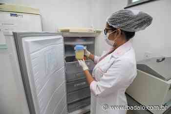 Campanha de doação de leite materno acontece essa semana em Juazeiro - Badalo