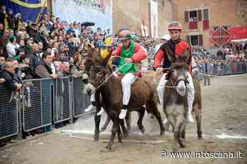 A Torrita di Siena dal 21 al 29 maggio torna il tradizionale Palio dei Somari - intoscana - InToscana