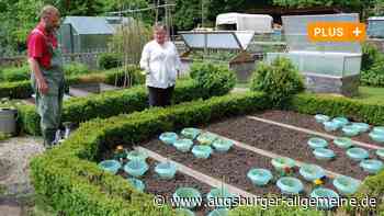 Neuburg/Kammel: In diesem Garten sind Architektur, Tiere und Pflanzen im Einklang | Mittelschwäbische Nachrichten - Augsburger Allgemeine