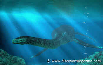 Why Were Prehistoric Marine Reptiles So Huge?
