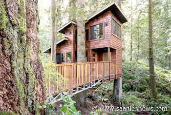East Sooke treehouse retreat tops Airbnb list – Saanich News - Saanich News