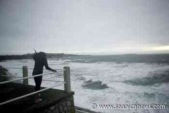 Warning issued as strong winds, heavy rainfall head for coastal B.C. - Saanich News