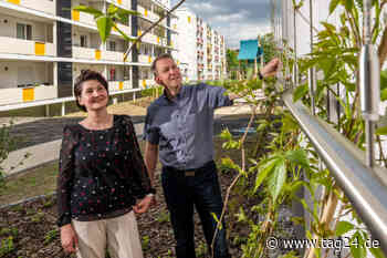 Mit Fördergeldern der Stadt Chemnitz: In Kappel rankt der Wein die Wände hoch - TAG24
