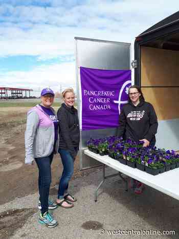 Eston woman continues to raise awareness for Pancreatic Cancer - WestCentralOnline.com