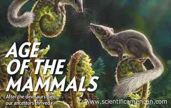 Mammals' Perseverance, Fast Radio Bursts and Health Justice - Scientific American