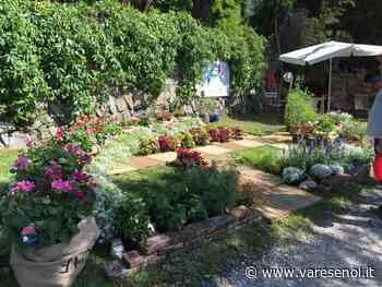 Ispra, InFiorita 2022: manifestazione rinviata a sabato 7 e domenica 8 maggio - VareseNoi.it