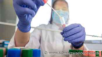 Corona im Zollernalbkreis - 22 weitere Infektionen, Inzidenz bei 441,4 - Schwarzwälder Bote