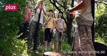 Raunheim: Findige Geocacher sammeln Müll - Echo Online