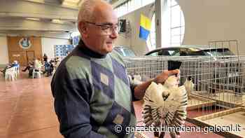 L'azienda. L'allevamento del Triganino storia secolare modenese - La Gazzetta di Modena