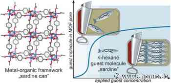 Moleküle im Inneren einer nanometergroßen "Sardinenbüchse" sehen!
