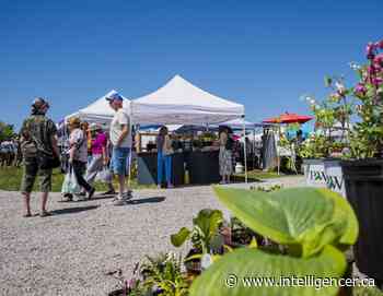 Wellington Farmers' Market plants roots in new location - Belleville Intelligencer