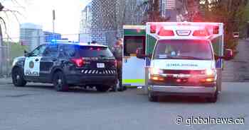 ‘Random’ break-in in northeast Calgary leaves suspect with minor injuries from police canine bite