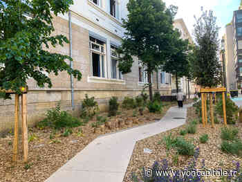 Lyon : végétalisation, débitumisation, un exemple concret du "plan nature" dans le 7e arrondissement - Lyon Capitale