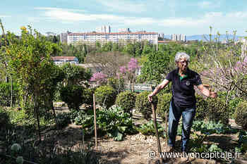 Reportage photo au coeur des jardins ouvriers de Lyon - Lyon Capitale - Lyon Capitale