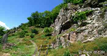 Heidelberg: Die Erdgeschichte der Stadt erkunden - Rhein-Neckar Zeitung